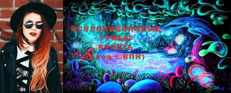 Галлюциногенные грибы Magic Shrooms  Мичуринск 